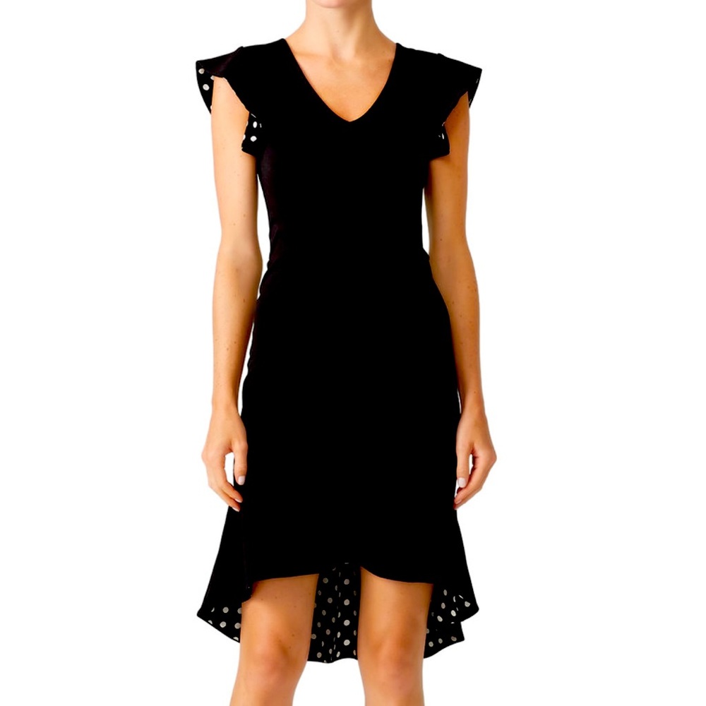 Slate & Willow Polka Dot Dress